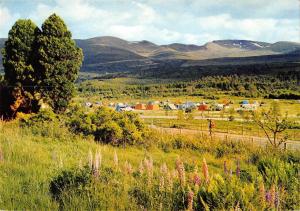 B96910 glenmore camp the cairngorms inverness shire scotland