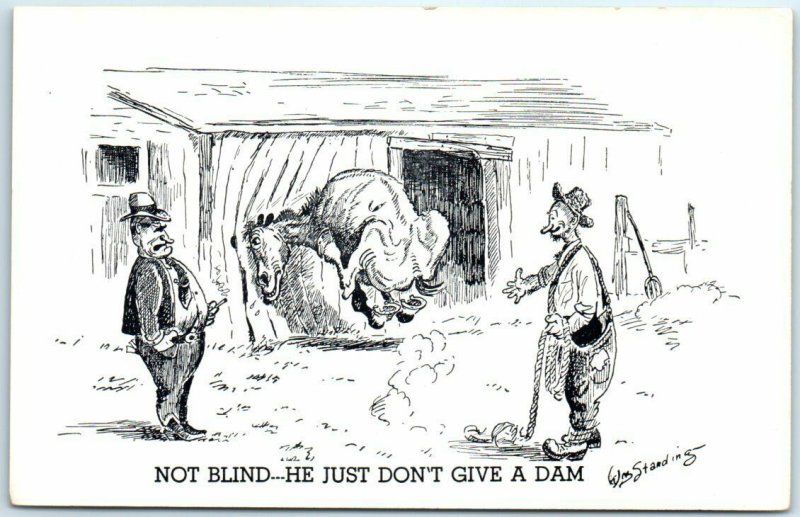 Greeting Card - Not Blind...He Just Don't Give A Dam - Horse and 2 Men Art Print 