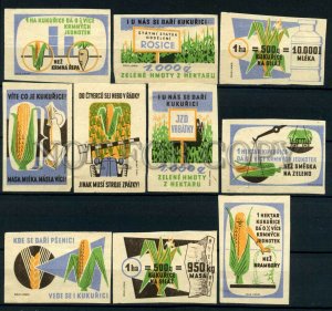 500616 Czechoslovakia corn ADVERTISING Vintage match labels