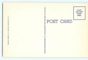 Vintage Postcard BM-3 Home of F S Terry Black Mountain North Carolina  # 2006