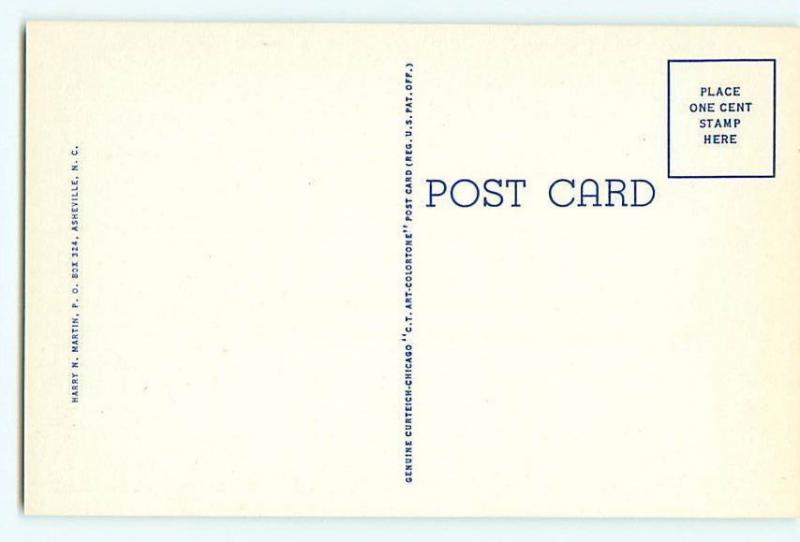 Vintage Postcard BM-3 Home of F S Terry Black Mountain North Carolina  # 2006