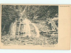 Pre-1907 NATURE SCENE Dansville - Near Bath & Hornell & Geneseo NY AD8641