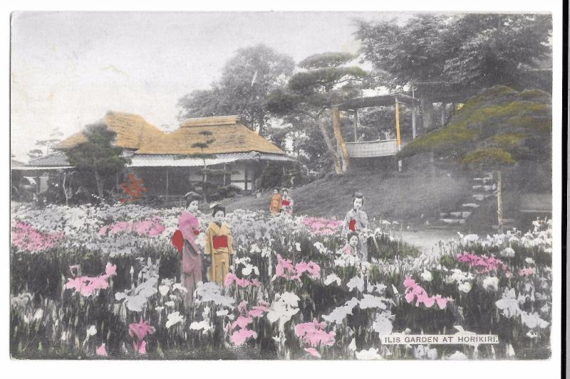 Ilis (Iris) Garden at Horiki PPC, Unposted, Early 20th C Japanese Postcard 