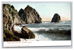 Vintage 1900s Postcard Sugar Loaf and Bay, Catalina Island, Los Angeles, CA