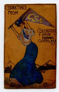 Postcard Greetings From Colorado State Normal Greeley Standard View Leather Card 