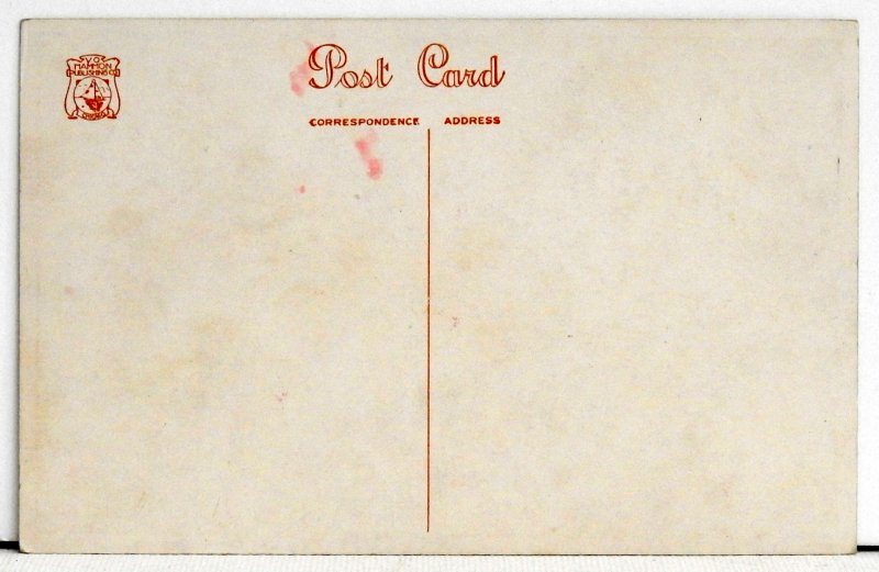 On the Trail - Postcard