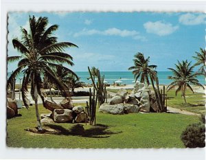 Postcard Garden, Aruba