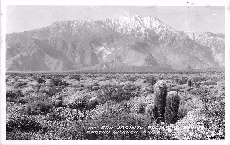 1940s Coachella Frasher Mt San Jacinto Devils Cactus Garden RPPC postcard 3139