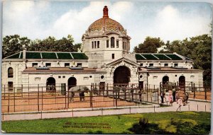 Postcard NY New York Zoological Park Elephant House