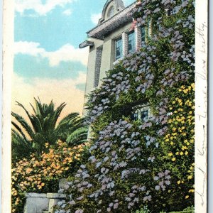 c1910s Daytona, FL House Vine Roses & Bouganvillea Flowers Litho Photo PC A274