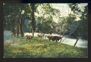 Portland, Maine/ME Postcard, Presumpscot River Near Riverton Park, 1908!