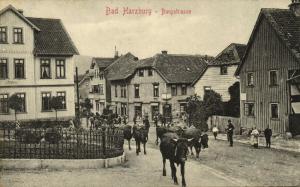 germany, BAD HARZBURG, Burgstrasse, Street Scene with Cows (1910s)