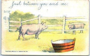 Postcard - Just between you and me with Pigs Art Print