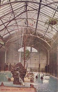 Bird Cage Lincoln Park Chicago Illinois 1909