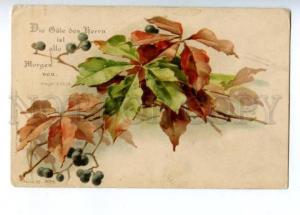 3149021 AUTUMN By C. KLEIN vintage WEZEL & NAUMANN PC