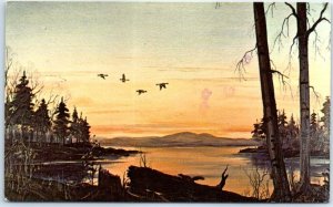 Postcard - Winging South At Sunset By Loran Percy