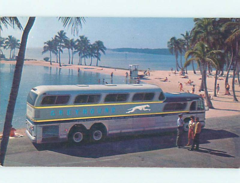 Unused 1960's POSTCARD AD - GREYHOUND BUS SUPER SCENICRUISER M6981