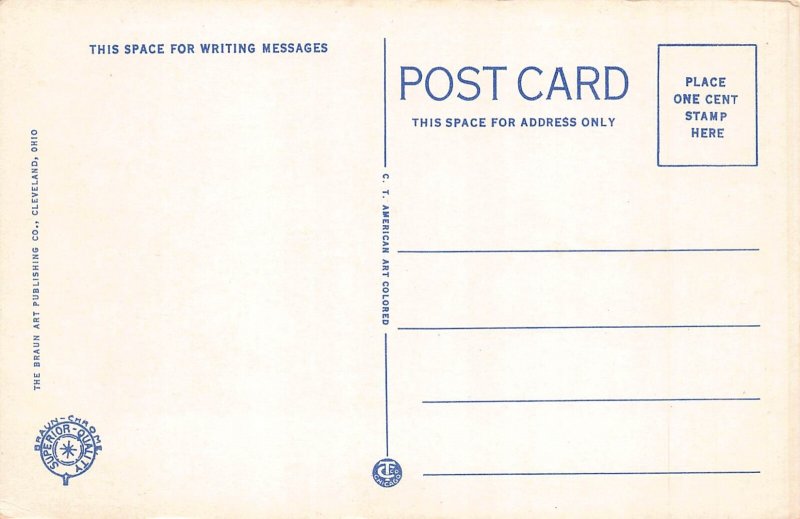 US Ohio Rocky River Bridge and Valley vintage postcard