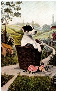 Dog ,in a basket