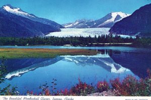 VINTAGE POSTCARD CONTINENTAL SIZE MENDENHALL GLACIER JUNEAU ALASKA