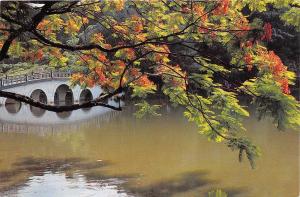 BR25503 Red Lotus with the reflection of a Bridge Zhaoqing 2 scans china