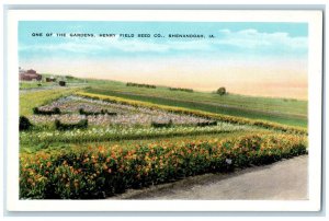 c1920 One Gardens Henry Field Seed Flowers Shenandoah Iowa IA Vintage Postcard