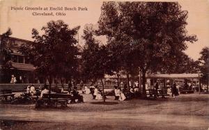 Cleveland OH Sepia PostcardEuclid Beach Amusement Park Picnic Grounds1914 PC