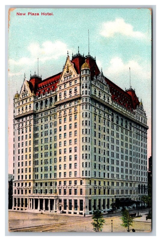 New Plaza Hotel New York City NY NYC DB Postcard V21