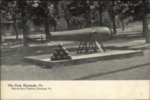 Nanticoke PA Cannon in Park c1910 Postcard