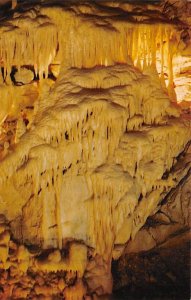 The Golden fleece Mammoth Cave National Park, KY