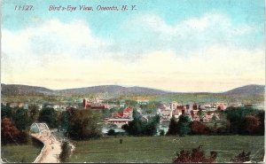 Postcard NY Oneonta Bird's-Eye View - Bridge over Sasquehanna River C. 1910 A3