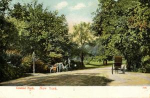 NY - New York City. Central Park Scene