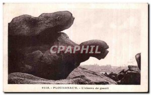 Old Postcard Ploumanac pm The bird granite