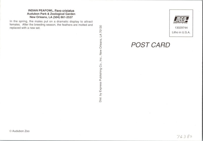 Peacock Zoo New Orleans, LA Continental Postcard CA18