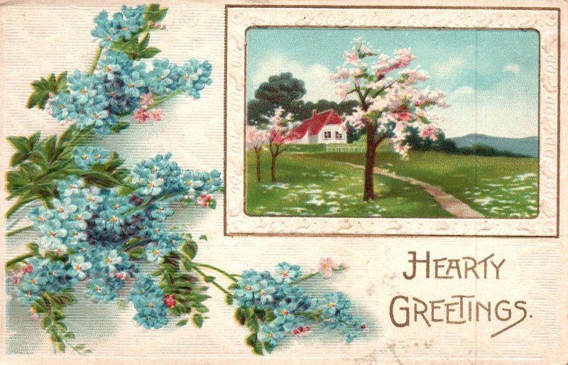 Vintage Postcard 1910's Hearty Greetings Beautiful Blue Flowers Nature Scene