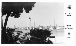 Postcard RPPC California Balboa Beach Snow Bird Races Frasher F-7859 23-4809