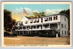 Hotel Walters, Cairo New York, Antique 1917 Curt Teich Postcard