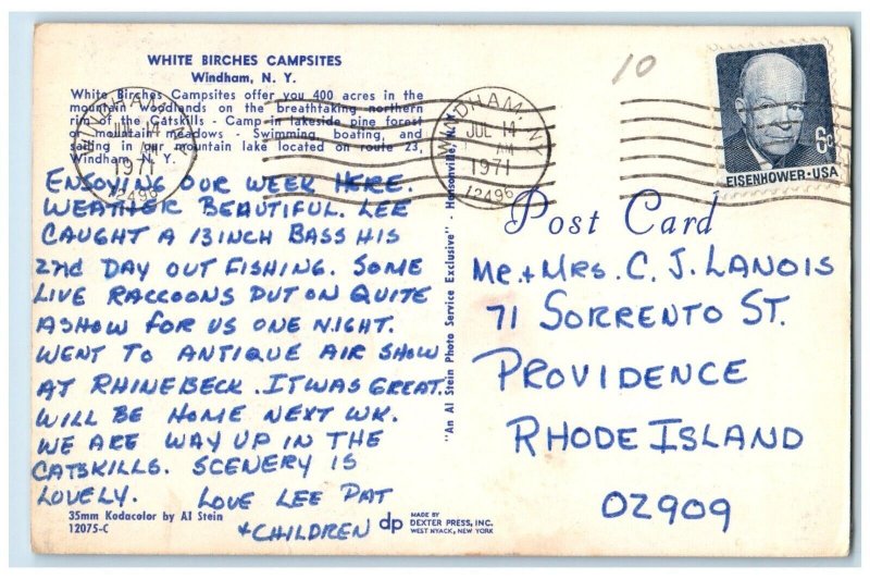 1971 White Birches Campsites Woodlands Catskills Camp Windham New York Postcard 