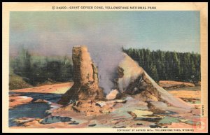 Giant Geyser Cone, Yellowstone Naional Park