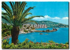 Modern Postcard Madeira Funchal Vista Leste