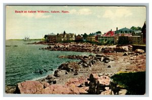 Vintage 1900's Postcard Beach at Salem Willows Residences Salem Massachusetts