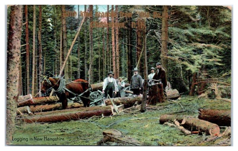 1909 Logging in New Hampshire Postcard