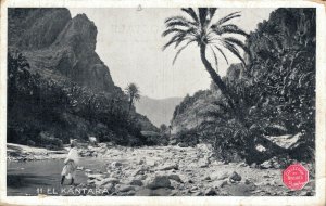 Algeria Biskra El Kantara 05.88