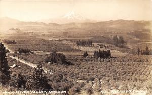 Hood River Valley Oregon~Bird's Eye View Showing Farmland~1930s RPPC Postcard
