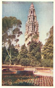 Vintage Postcard 1920's Imposing California Tower From Alcazar Gardens Expo. CA