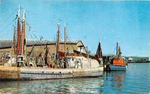 Fishing Trawlers in Port Gloucester, Massachusetts  