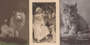 Pet Of The Household Child With Family Pets 3x Old Cat Postcard s