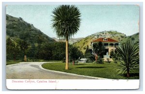 1910 Descanso Canyon Catalina Island Postcard P30E