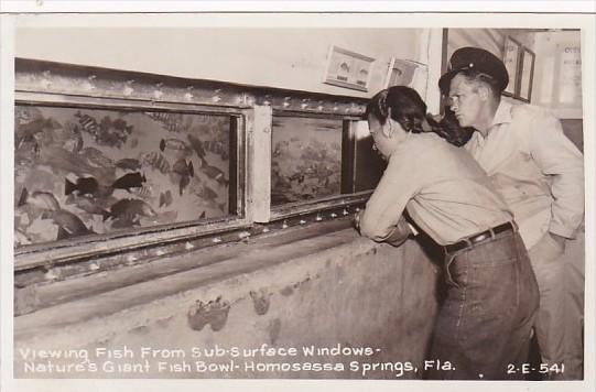 Florida Homosassa Springs Viewing Fish From Sub-Surface Windows Real Photo