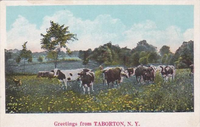 New York Greetings From Taborton 1927